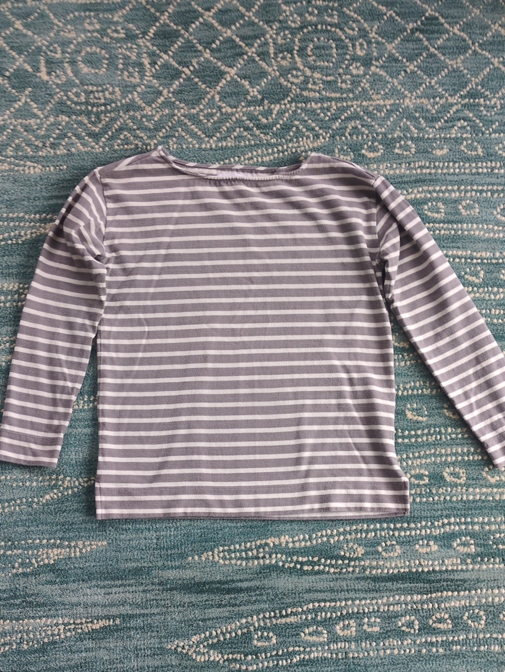 Everlane Striped Long-Sleeve Boatneck Top in Gray & White Small EUC